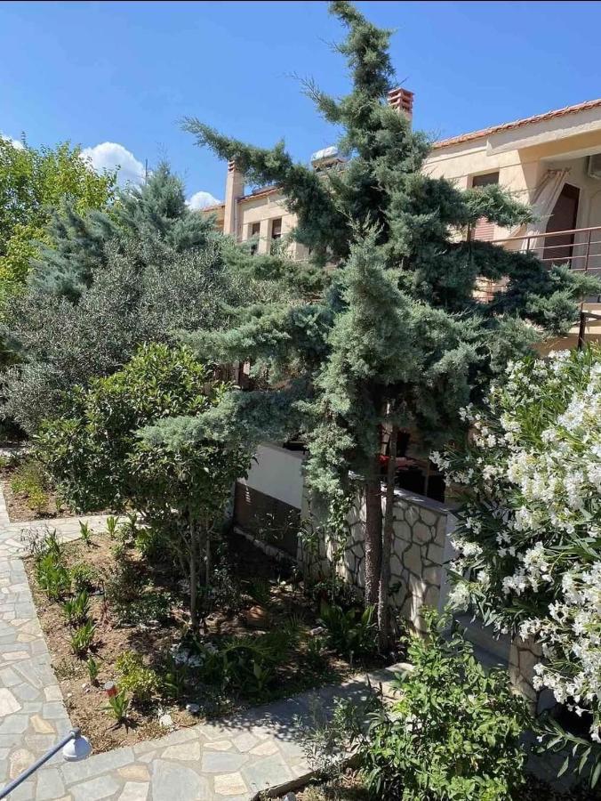 Papadopoulos Houses Никити Экстерьер фото